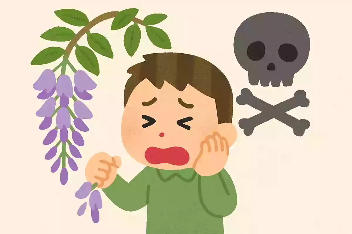藤の花には毒がある