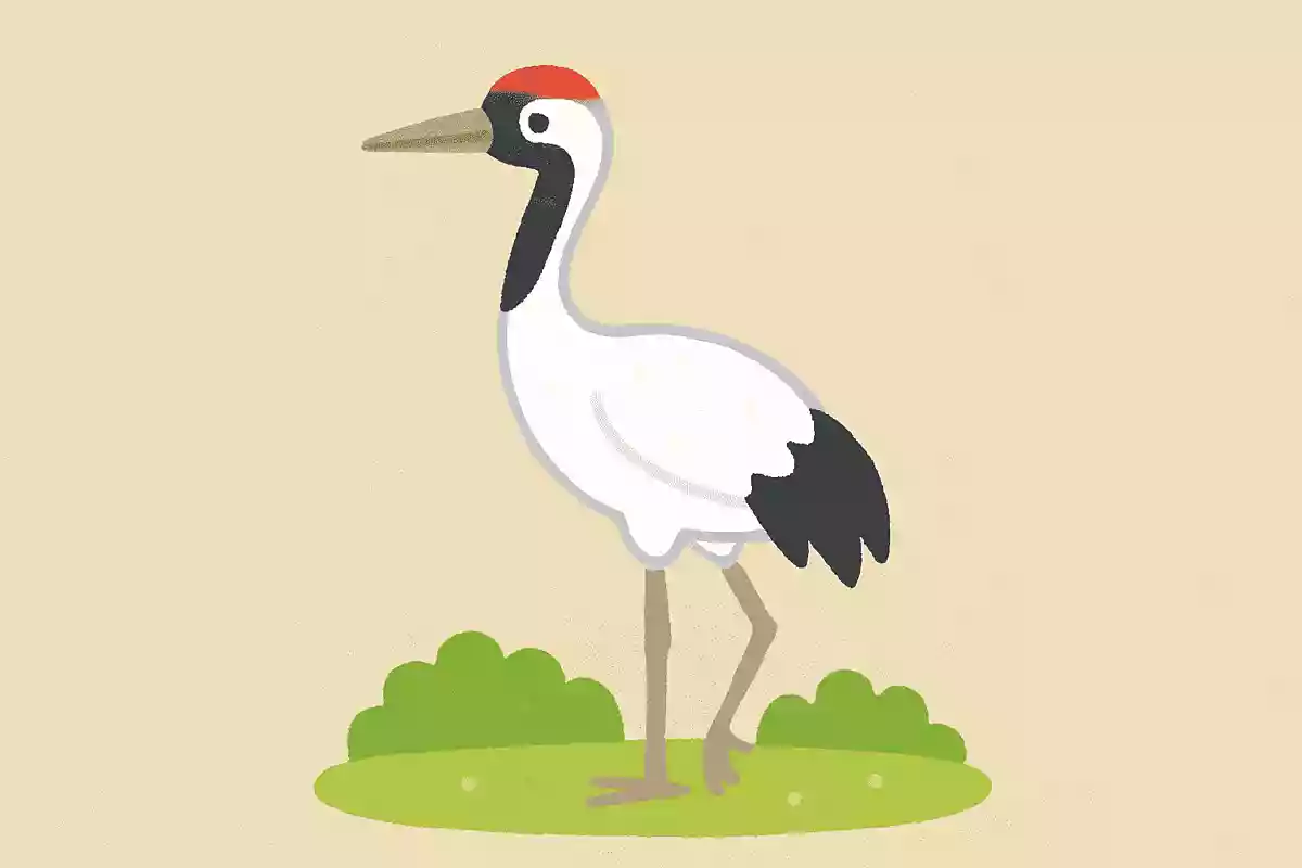 日本の国鳥は何?