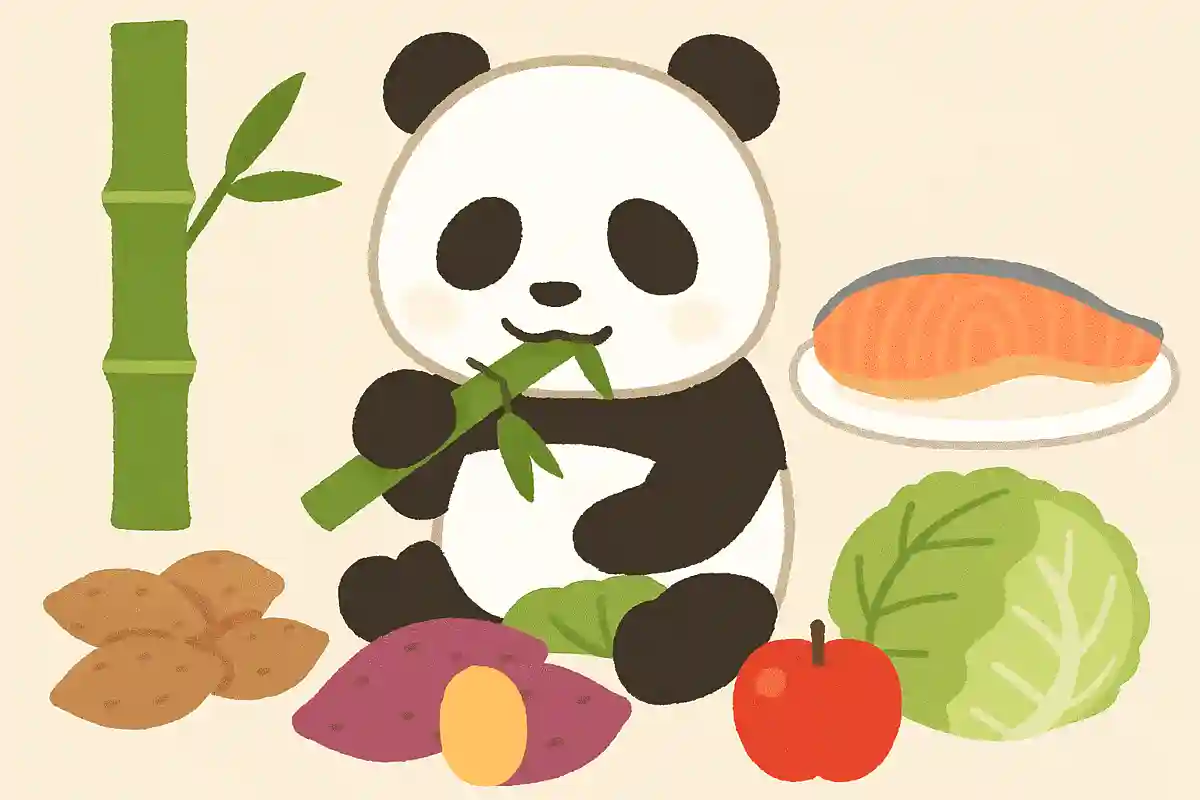 パンダのたべものはどれでしょう？