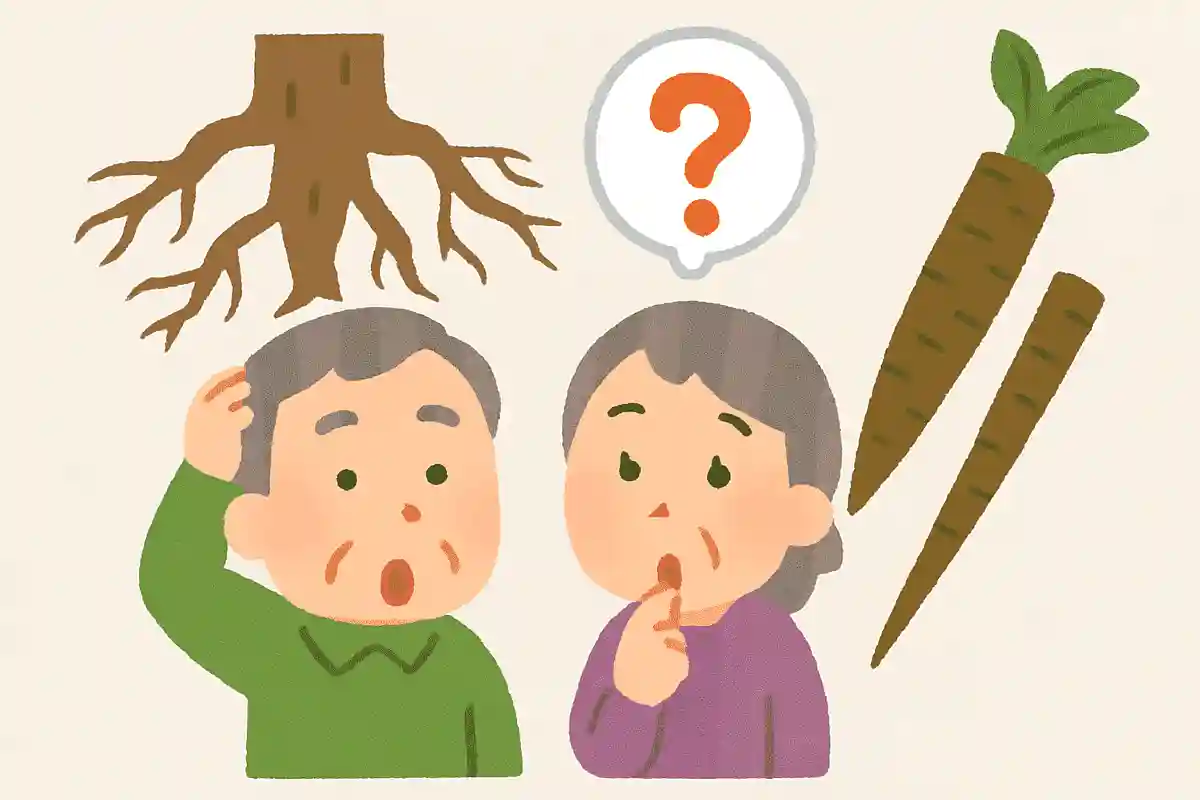 外国では「木の根っこ」のイメージがあり、食べられていない野菜は何でしょうか?