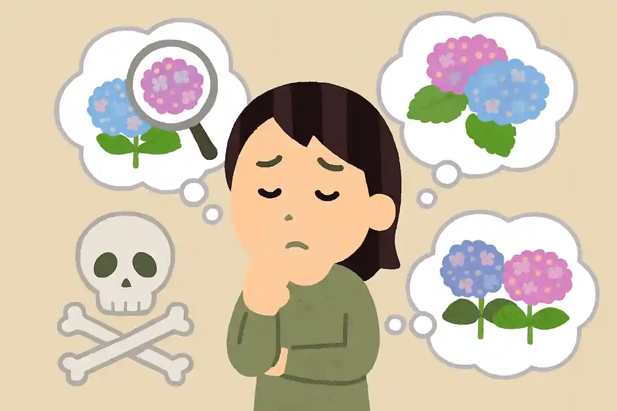 紫陽花の雑学。アジサイにまつわる豆知識まとめ【一般向け】