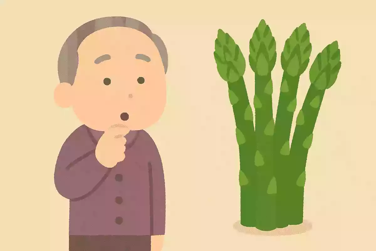 竜髭菜（アスパラガス）