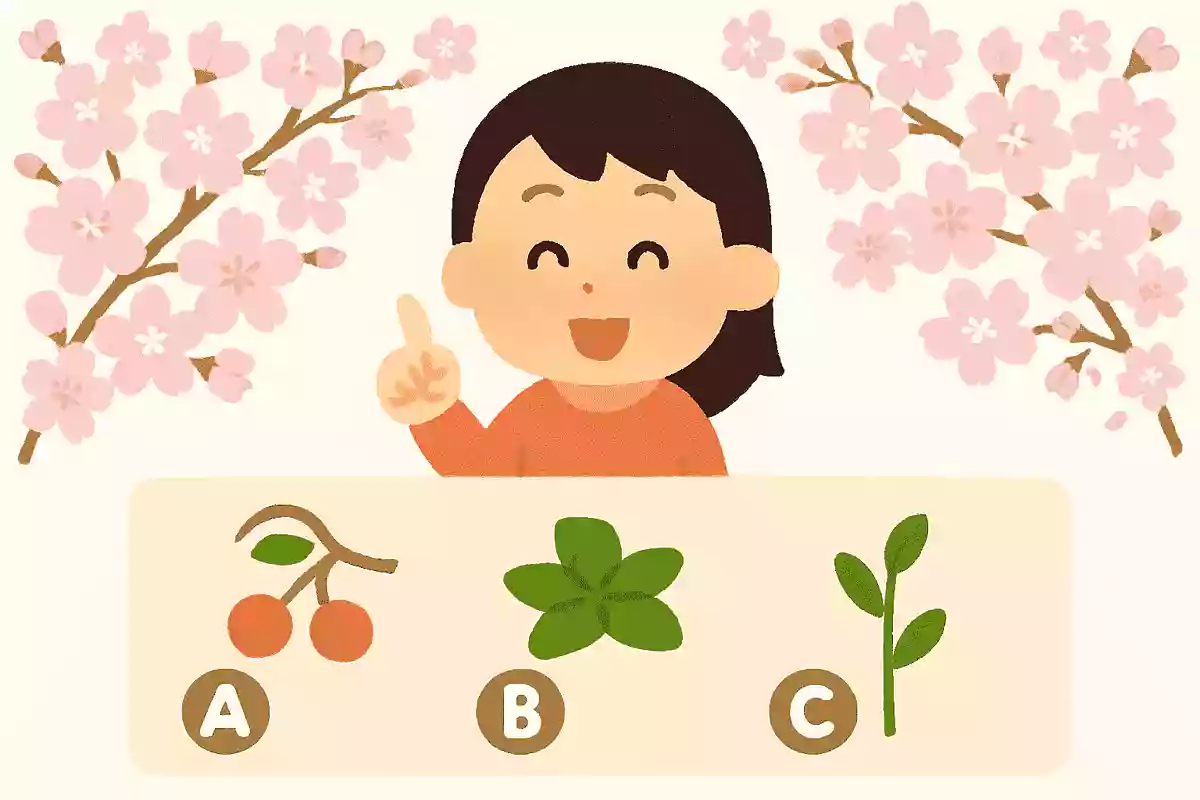 ソメイヨシノはオオシマザクラと何をかけ合わせた桜?