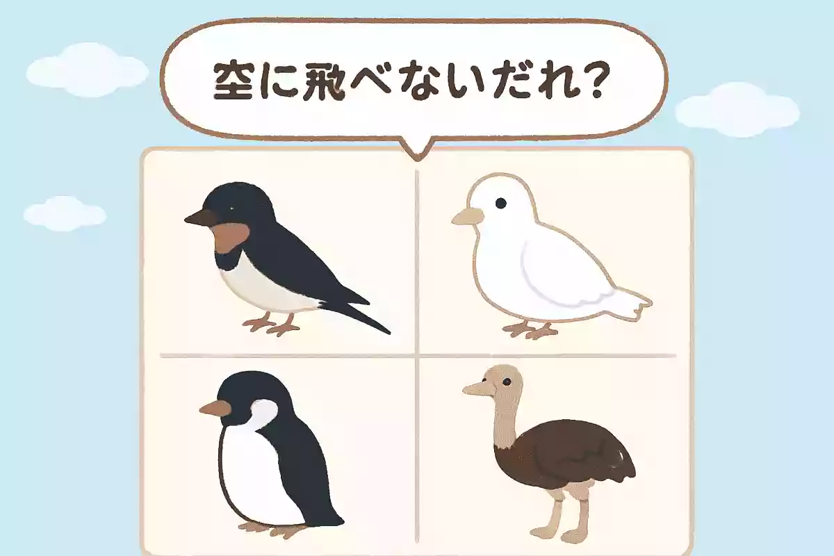 次のうち、空を飛べない鳥はどれでしょう？
