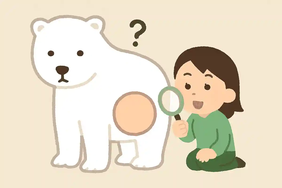 シロクマのはだはなにいろでしょう