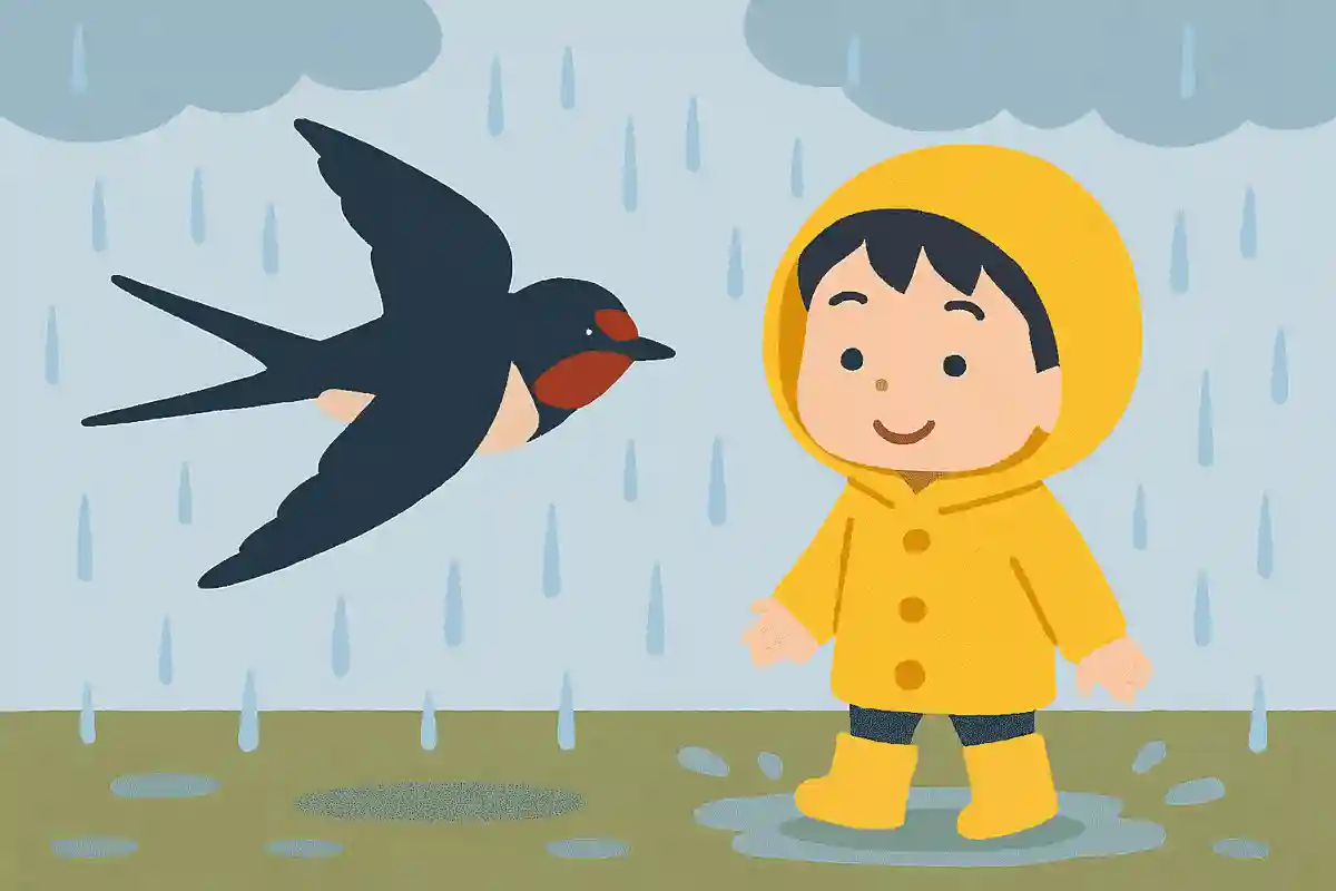 「〇〇〇が低く飛ぶと雨」