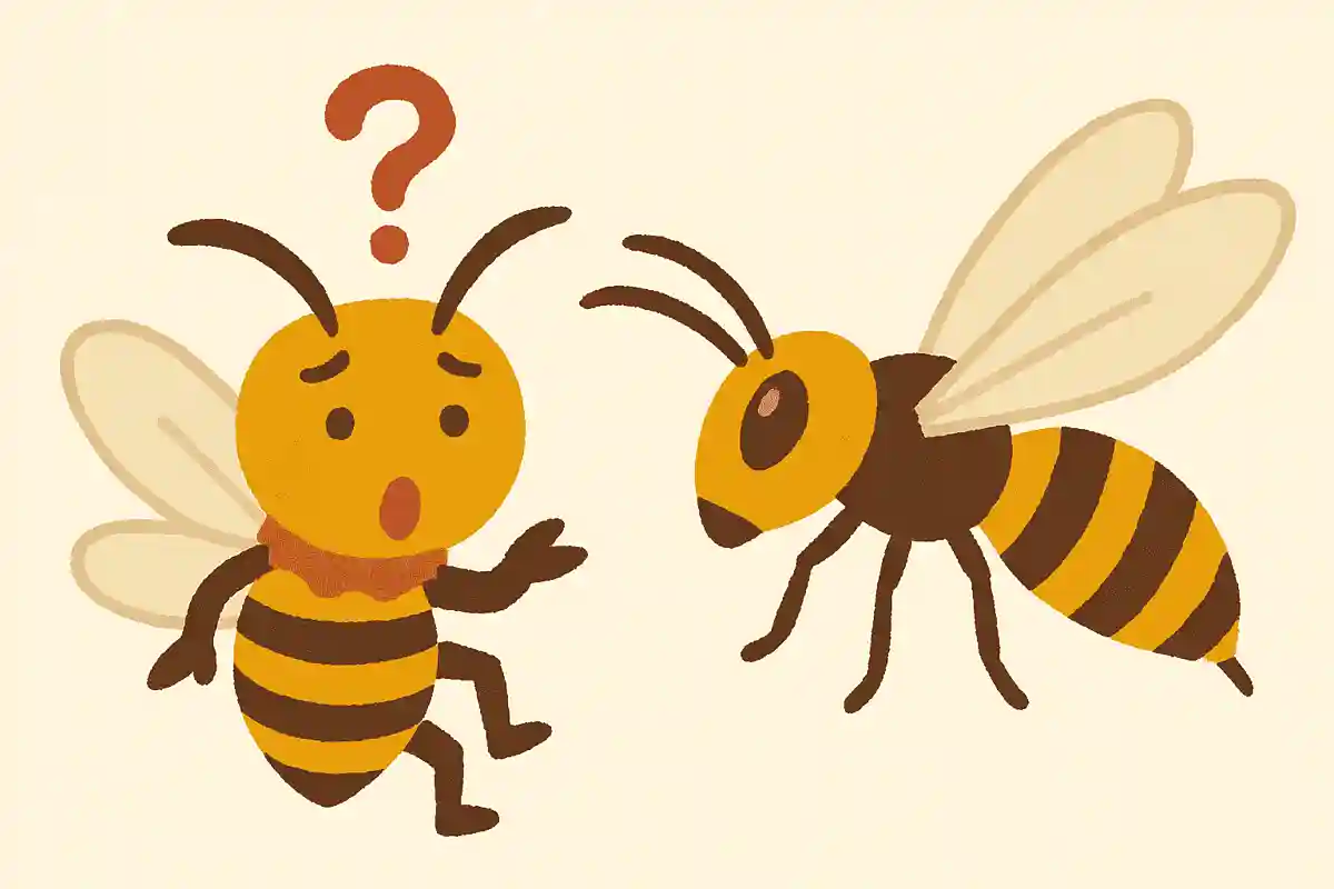 スズメバチのオスは針を持っていない