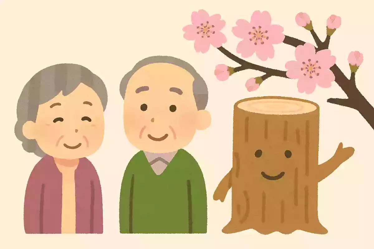 花見のイメージが強い桜ですが、木材としての桜がもつ特徴は何でしょうか?