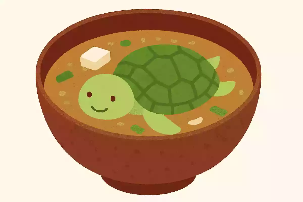 味噌汁のなかで泳ぐカメ、どんなカメ?
