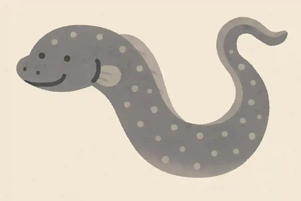 ギンアナゴ（銀穴子）