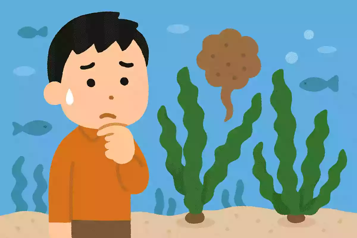 昆布が海の中で出汁が出ないのはなんでだろう？