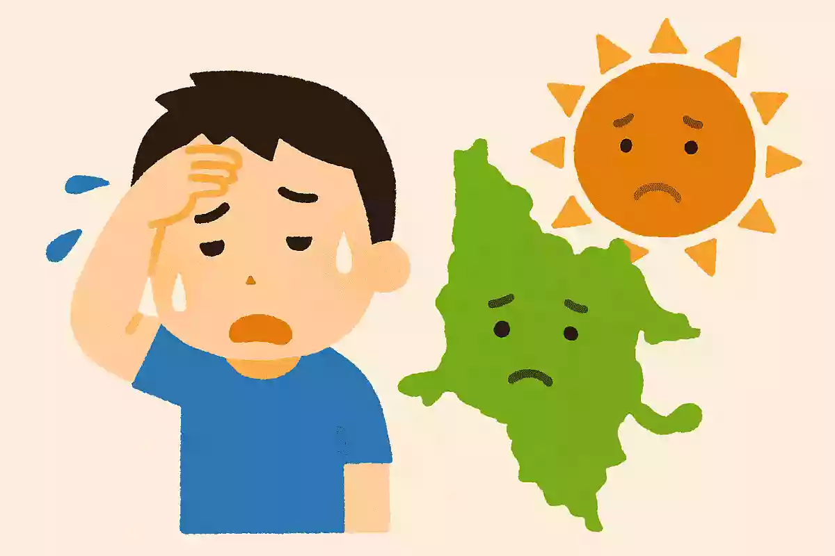 日本一暑い最高気温を記録したのは何県でしょうか?