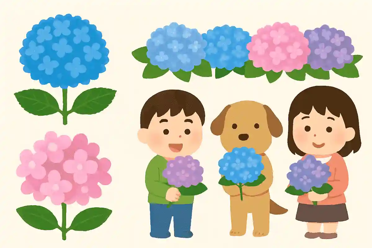 大きく分けて手まり咲き、ガク咲きの2種類がある