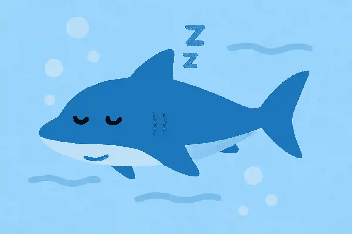 寝ているときも泳いでいる、止まらない魚はどれ?