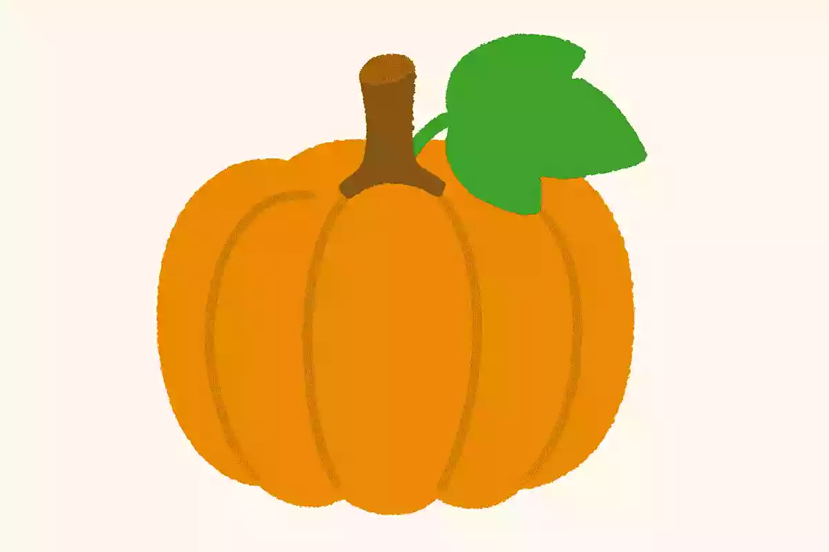 昔、食用ではなく観賞用とされていた野菜はどれでしょう?