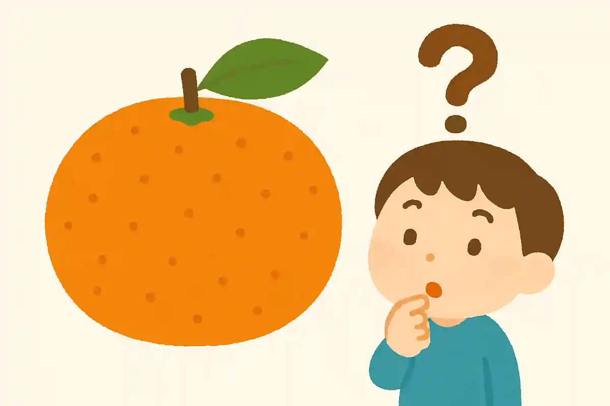 オレンジ色をしたみかん。どのような栄養があるかな?