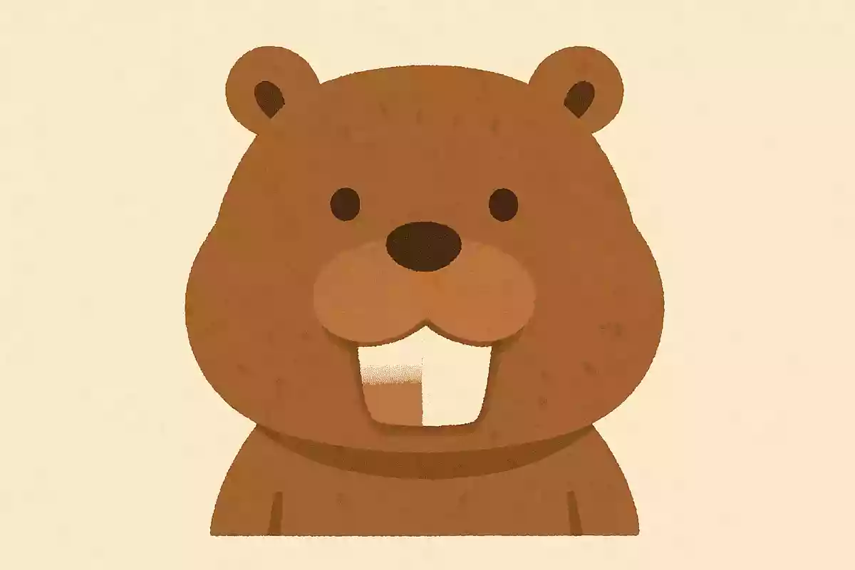 ビーバーの歯の表面は何色？