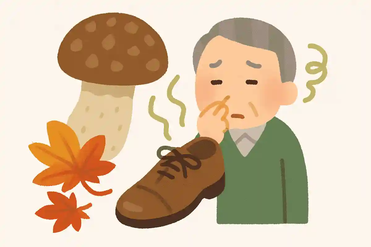 ある日本の秋を代表する高級食材は「革靴にこもった臭い」と評され欧米では食べる習慣がありません。この高級食材は何でしょうか?