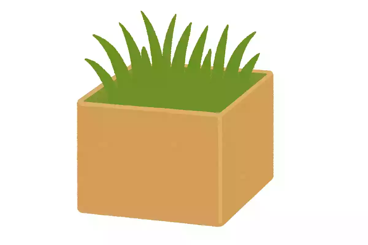 中に芝が入っている箱はなんででしょう?
