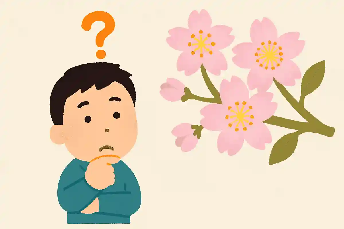桜の花言葉はどれでしょう？