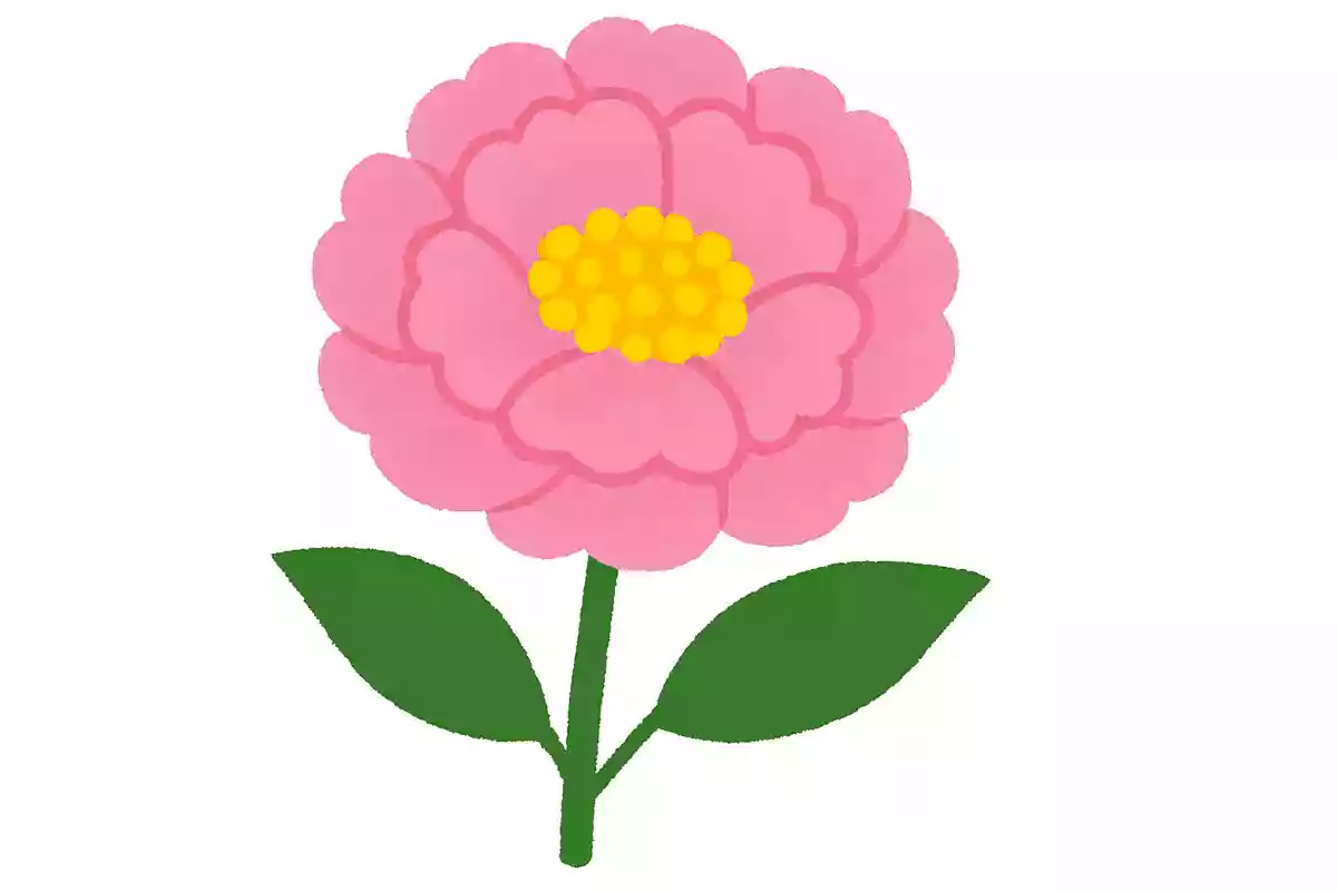 5月に咲く花の名前は何でしょう？