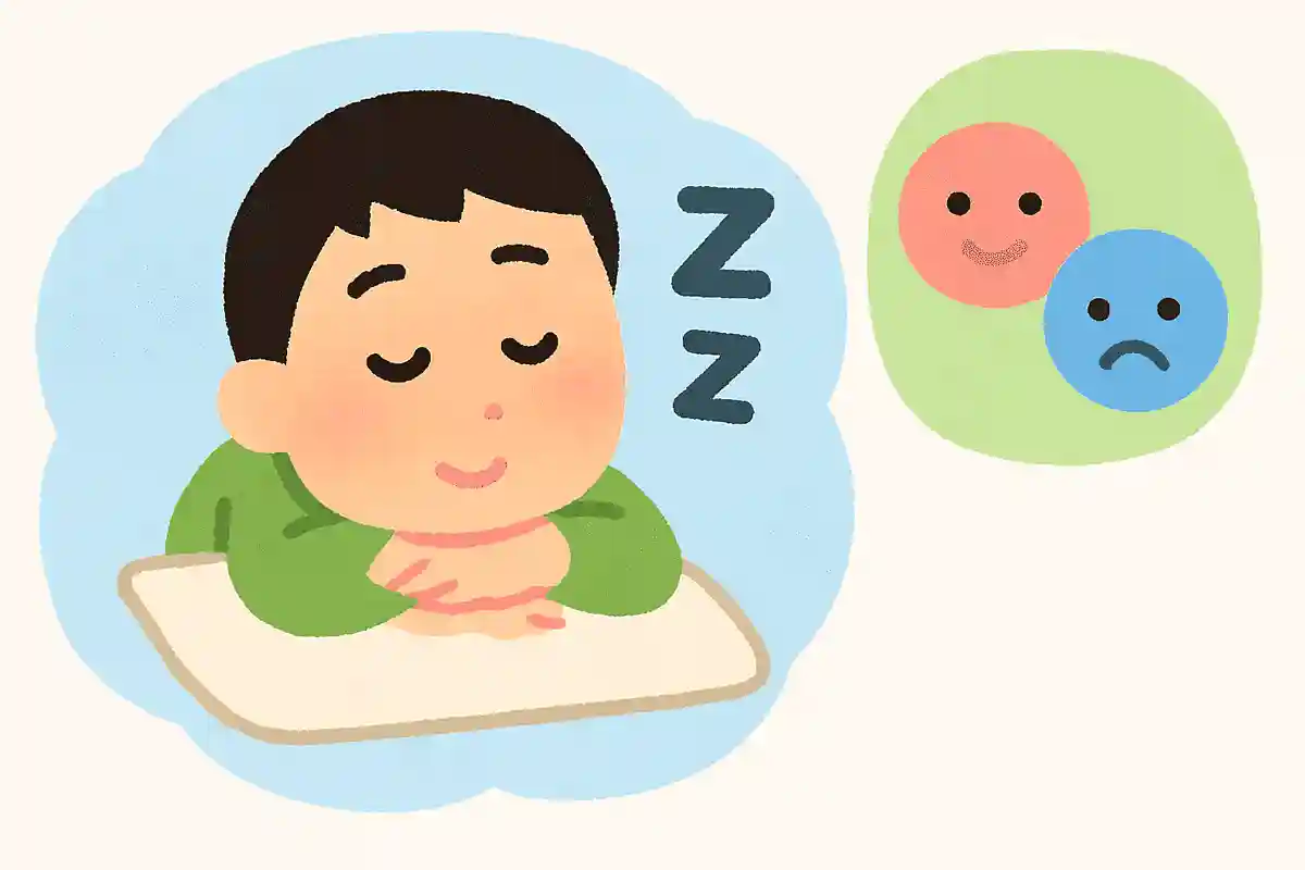 お昼寝がたいせつなのは本当?○か×か?