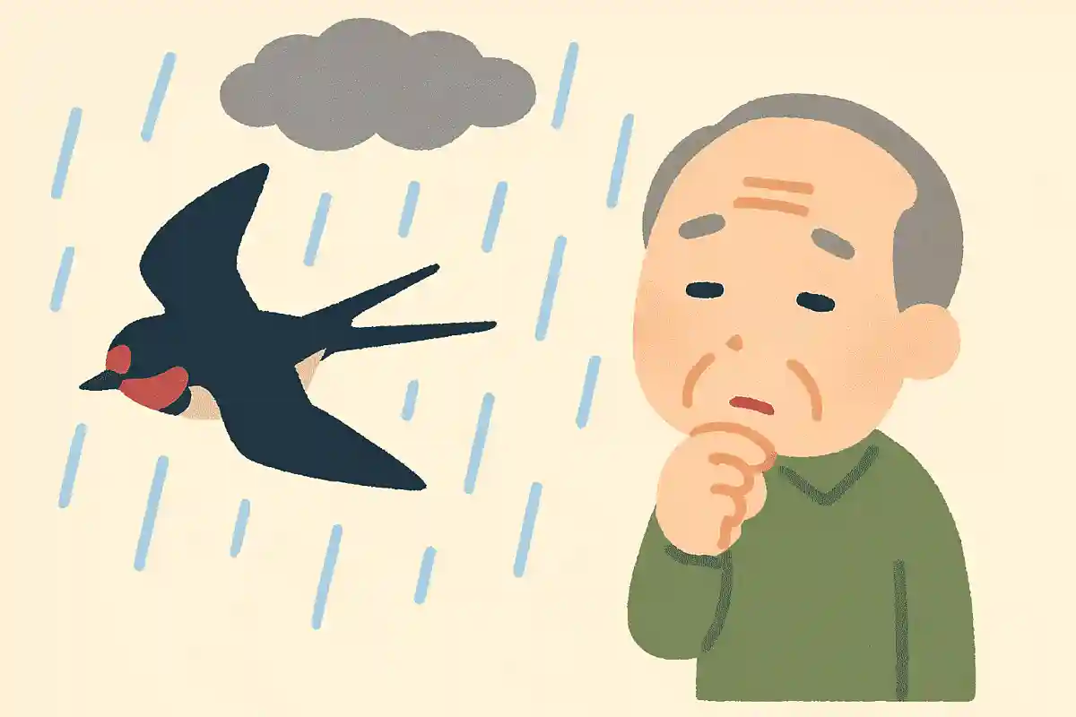 ある鳥が低く飛んでいると、雨になると言われています。ある鳥とは何でしょうか?