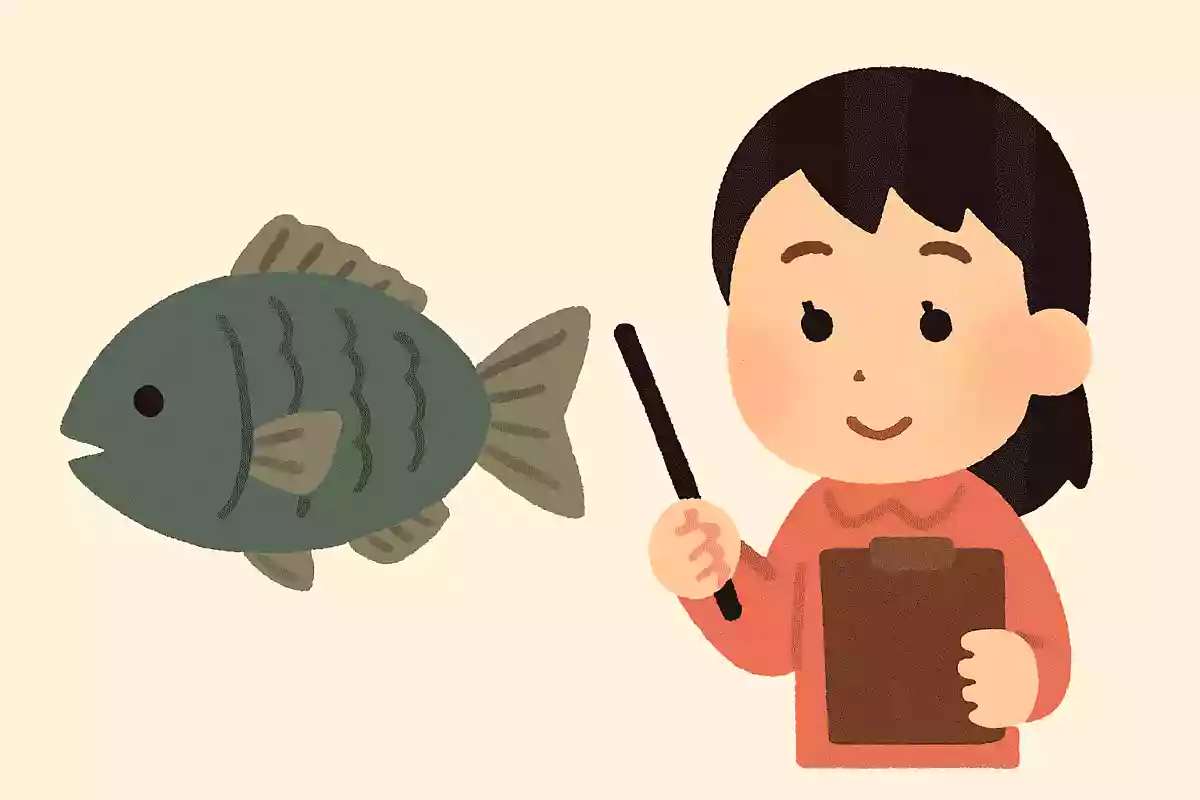 魚の年齢はどこを見ればわかる?