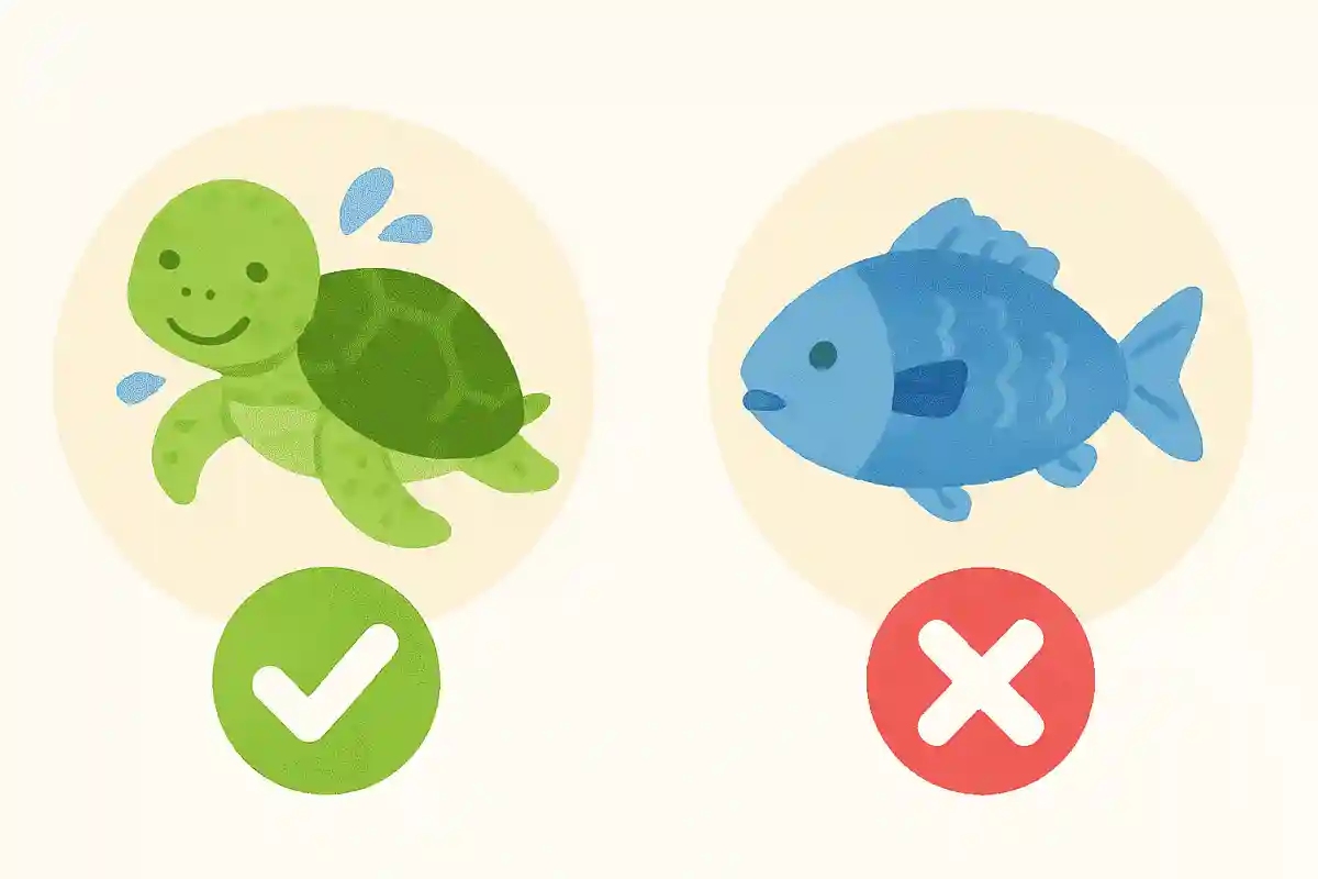 カメは魚の仲間である。○か×か?