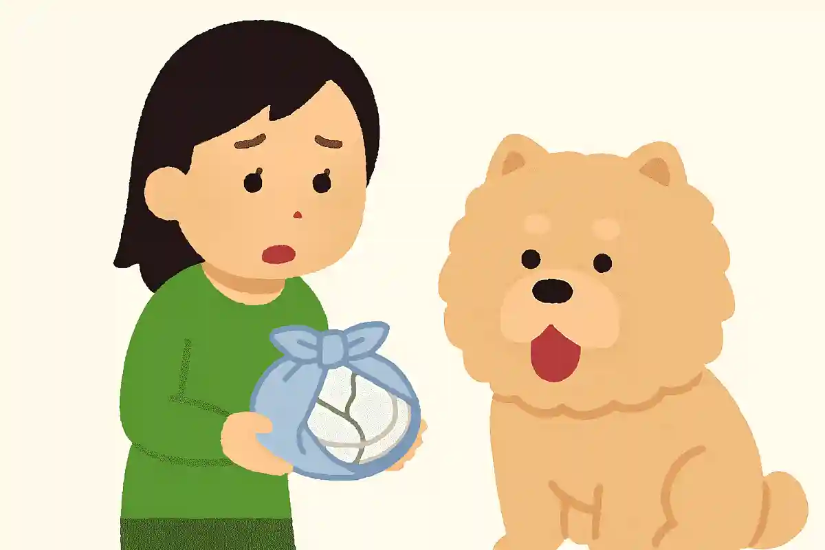 さらの皿、さらしでさらさら巻けて言うたよな、サラ。割れたさらの皿、今さら、さらしで巻くて何さらしとんねん、サラ。