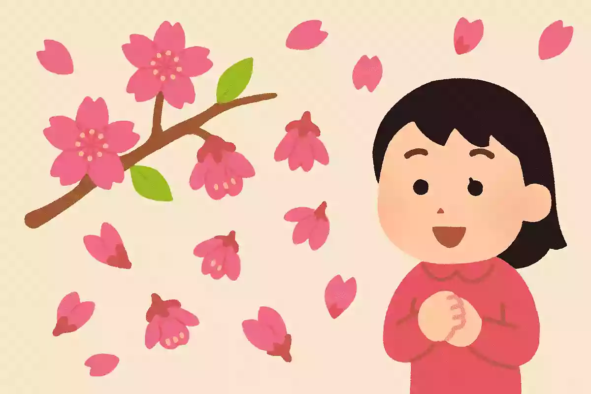 カンヒザクラは花のまま丸ごと落ちる