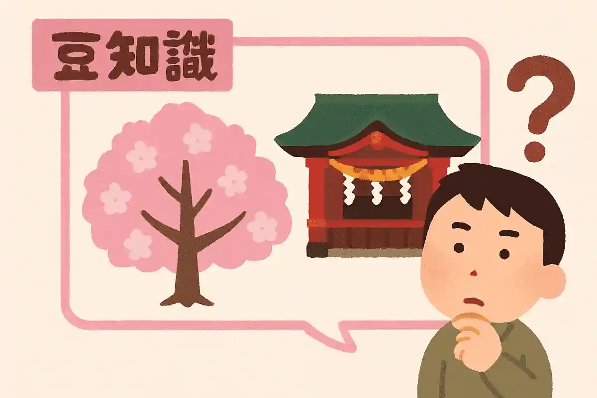 東京はどこの神社の桜を見て開花宣言をする？