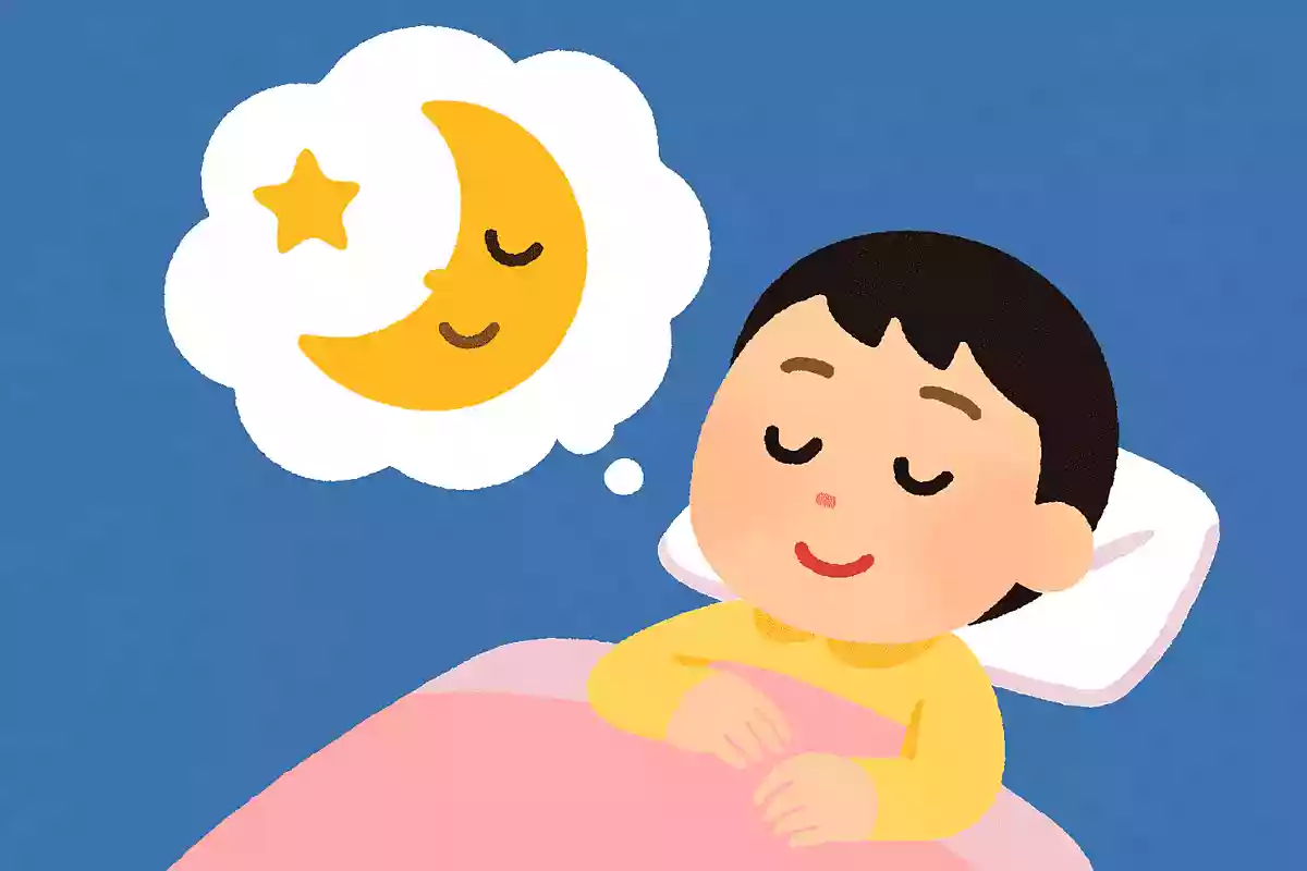 寝ている時にしか見られないものは何でしょう?