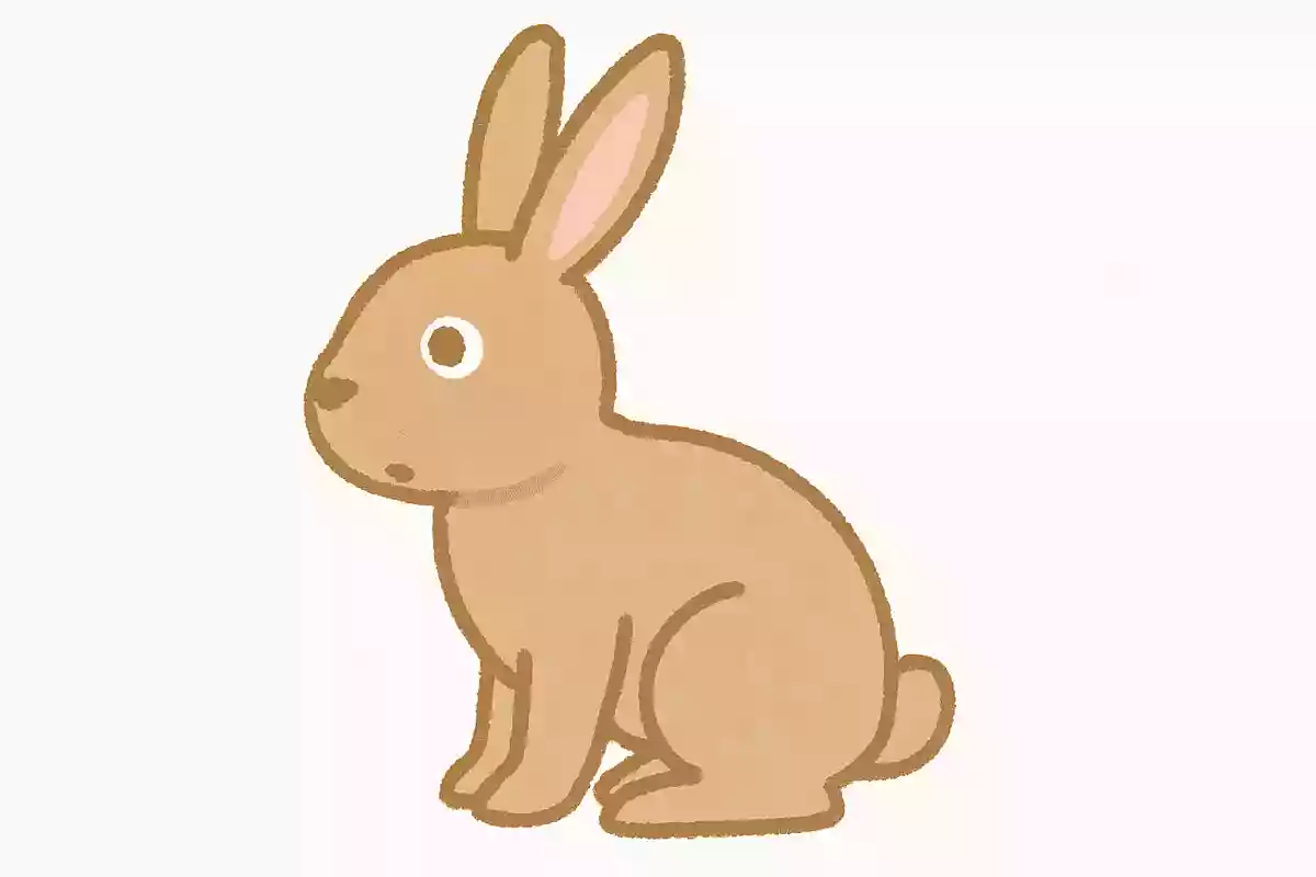 【豆知識】ウサギの雑学が深まる3択クイズ