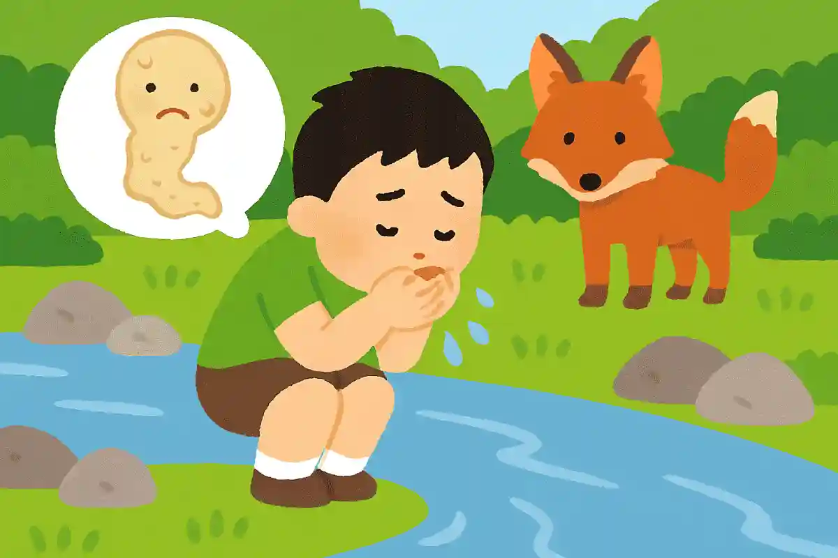 キツネが生息しているエリアの川の水を飲むと、エキノコックス症になることがある