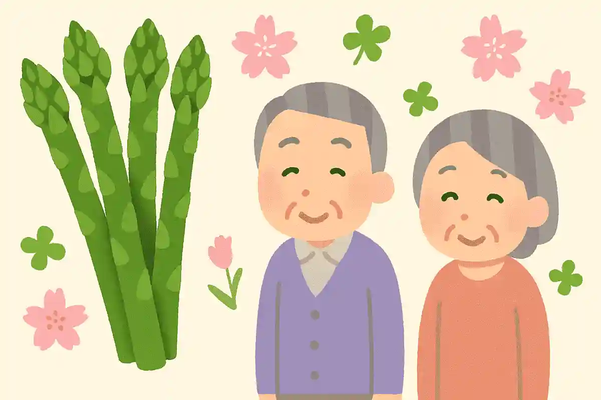 4月に旬を迎えるアスパラガスは収穫するまで3年かかる