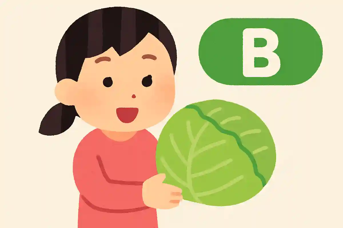 キャベツに多く含まれる、特徴的な栄養素は?