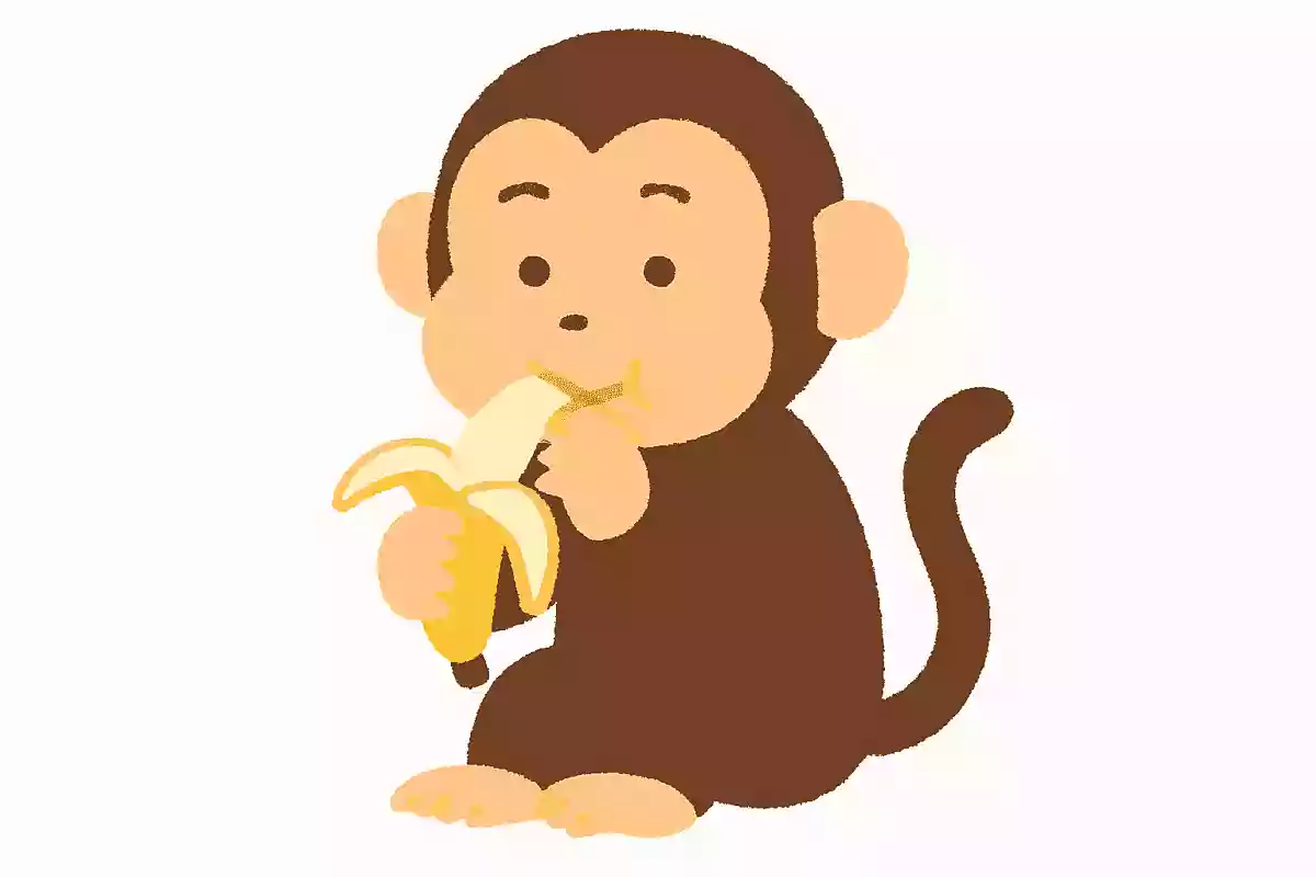 バナナを食べるサル