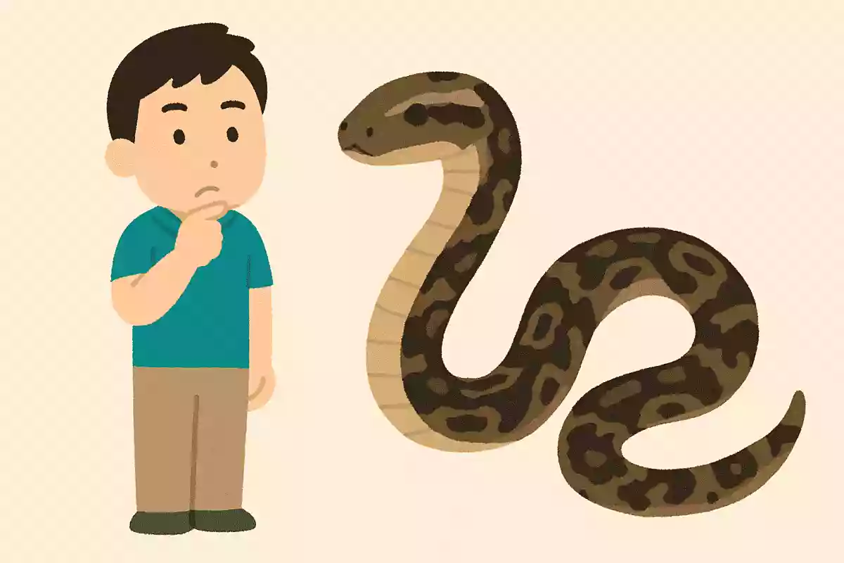 日本でありながら異国を感じさせる？沖縄県にまつわる雑学クイズ。