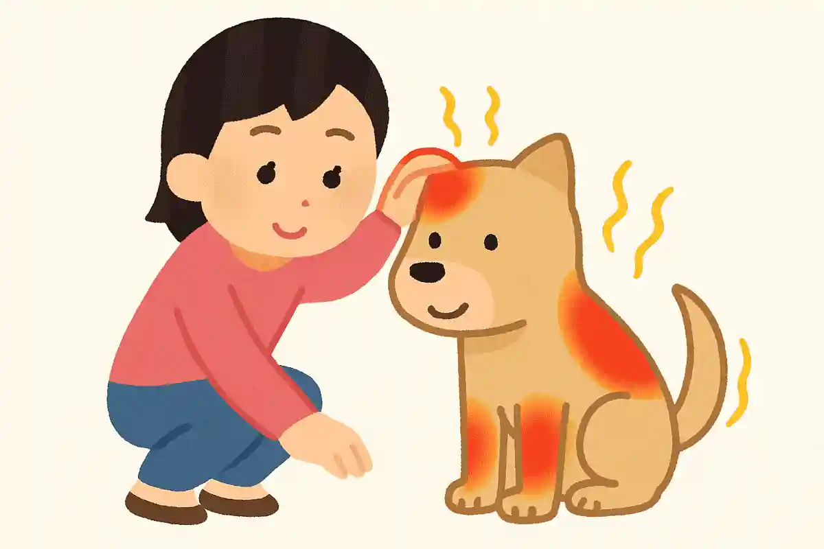 犬はからだのどこで温度を感じる？