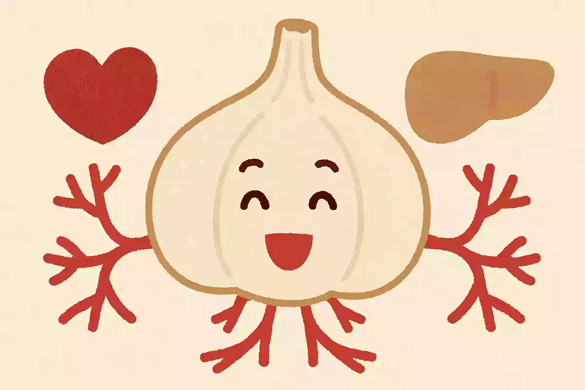 食べると血行を良くし、栄養を全身に行き渡らせてくれる白い球根はなんでしょう？