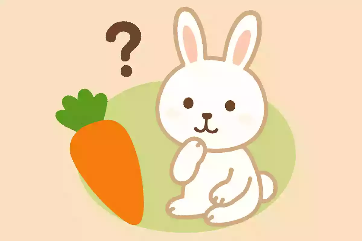 ウサギはにんじんが好き。○か×か？