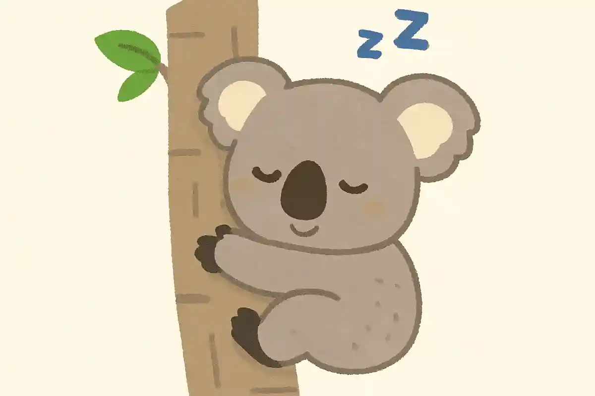 コアラはいちにちにどれくらい眠るでしょう？