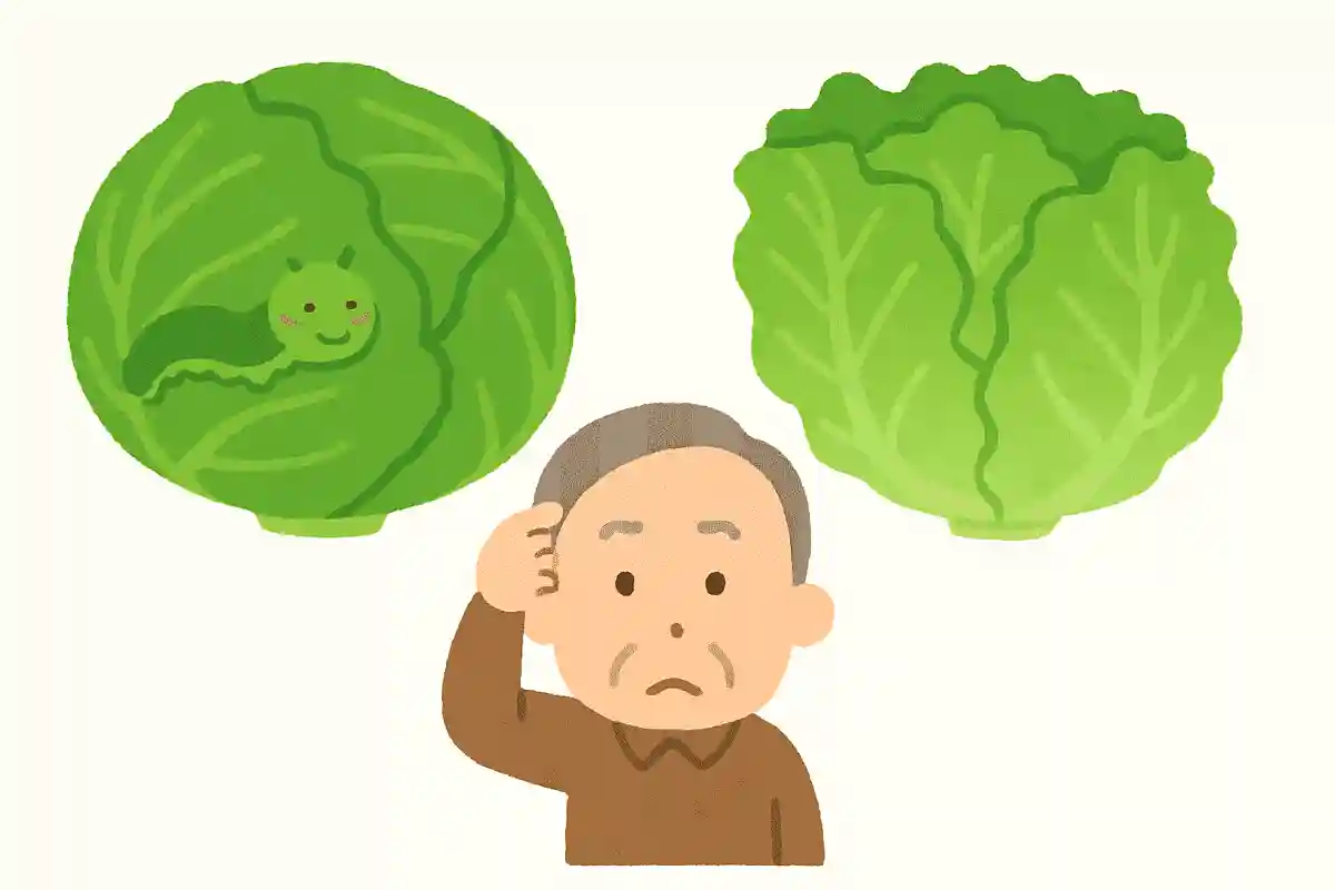 青虫はキャベツは食べるが、レタスは食べない