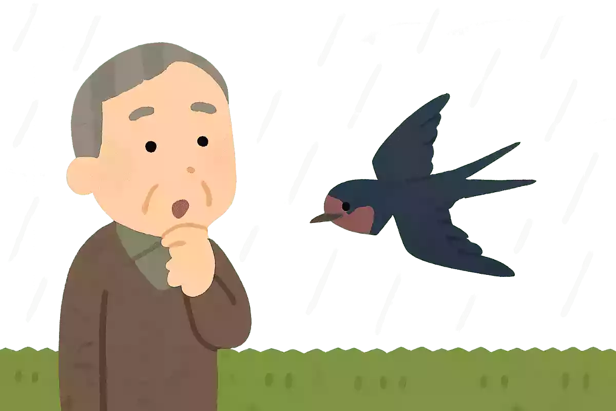 ある鳥が低く飛んでいると、雨になると言われています。ある鳥とは何でしょうか？