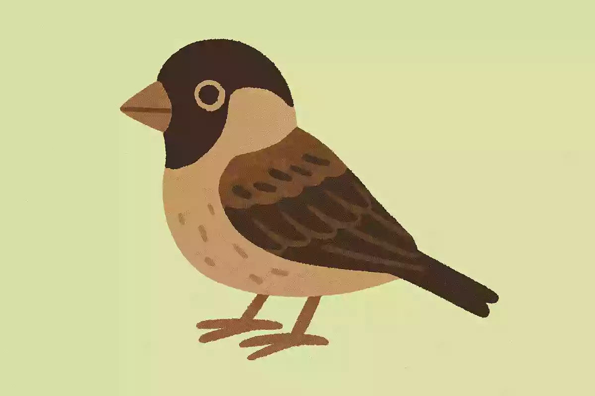 ズグロスズメヒバリ