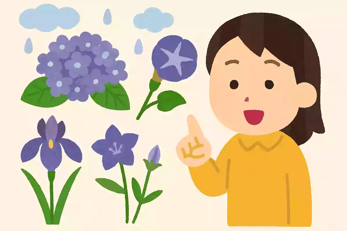 6月によく咲いている、紫や青の花は次のうちどれでしょうか?
