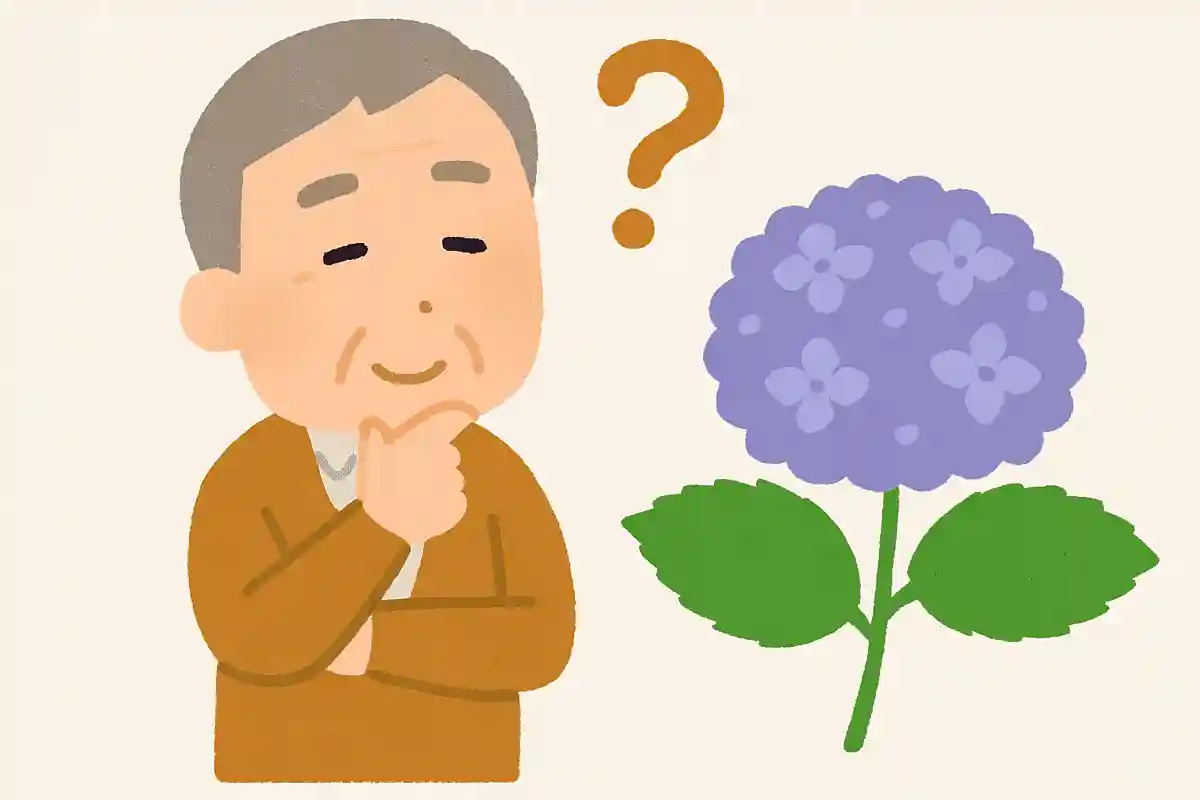 紫陽花の葉にはある効果がある成分が含まれています。それは何でしょうか