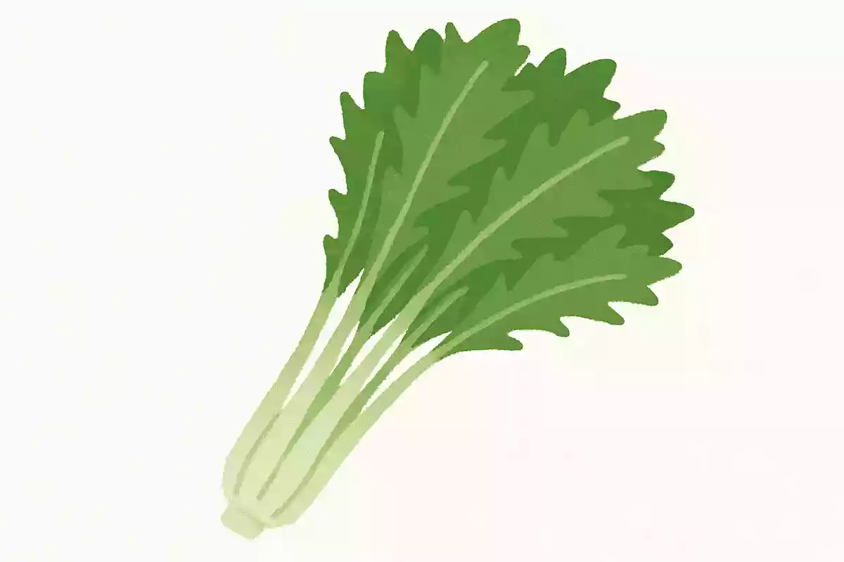 みずな（水菜）