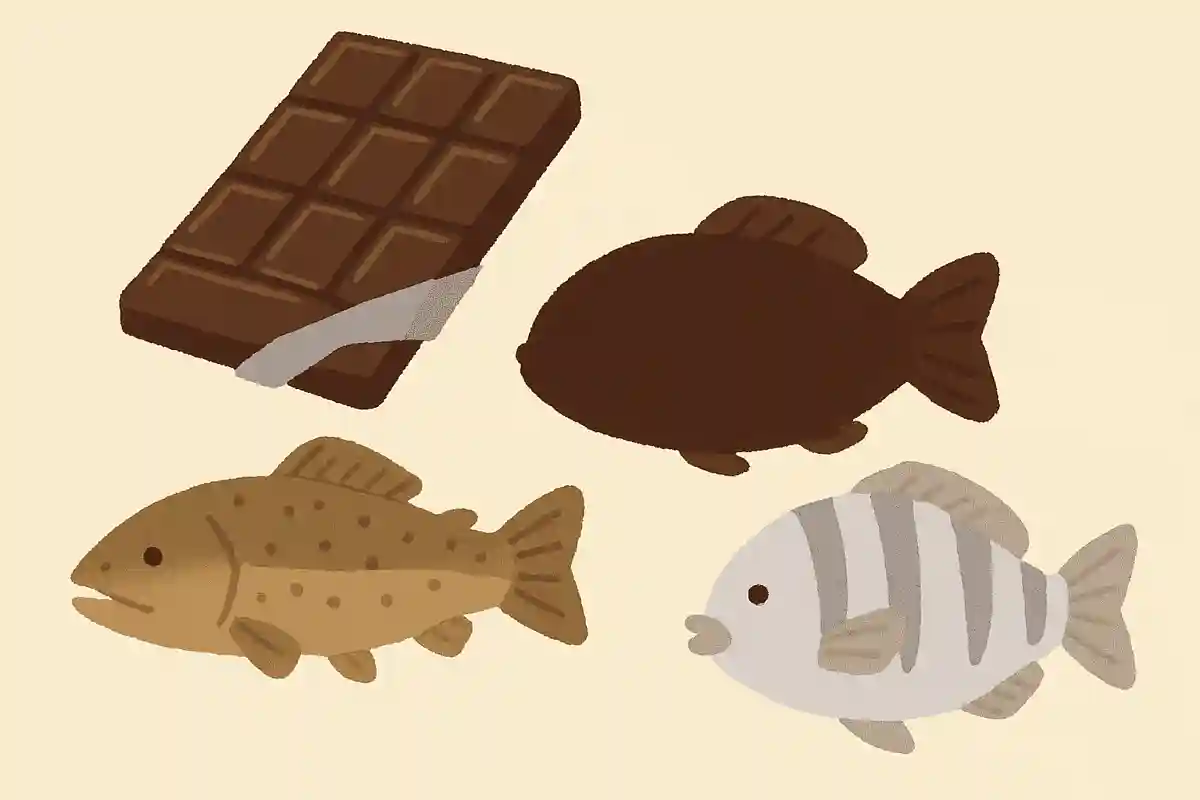 チョコレートをエサにして育てられた魚がいるそうです。3つのうちどの魚でしょうか?